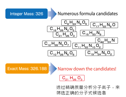 分子离子精确质量分析