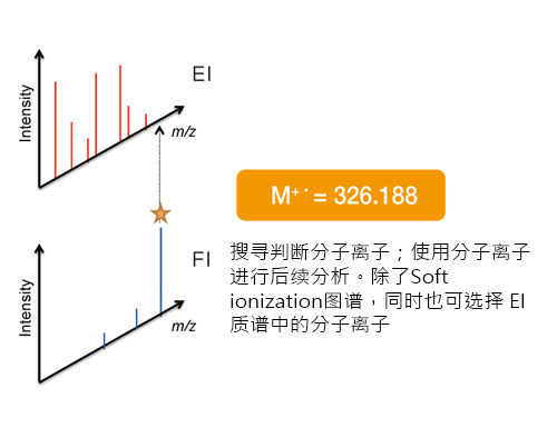 分子离子搜寻