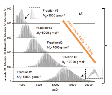 经GPC分馏后的高分散度聚己内酯质谱图