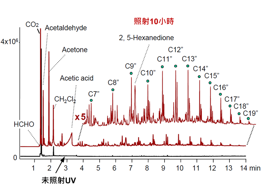 EVA照射前后释放的挥发性化合物