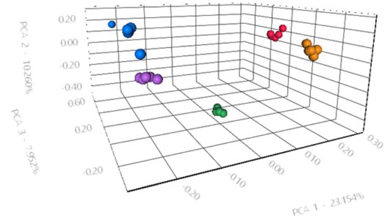 3D-PCA分析此五种咖啡