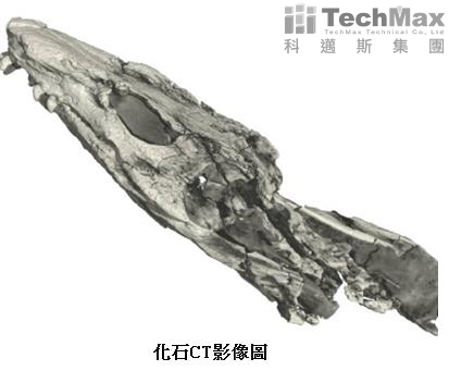 恐龙CT影像