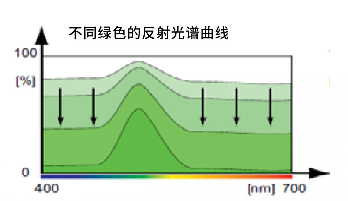 不同绿色的反射光谱曲线