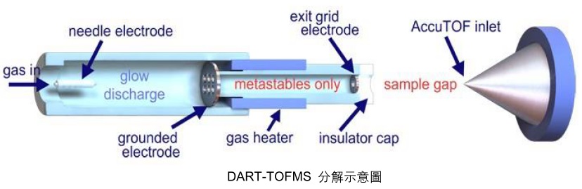 DART-TOFMS侦测与分析